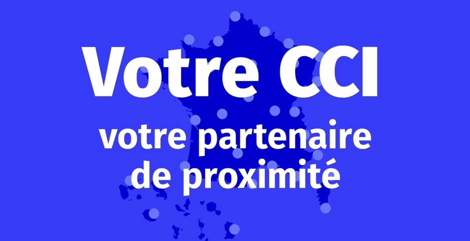 Deux nouvelles CCI dans le Réseau STUDEA !