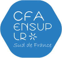 Cfa Ensup LR